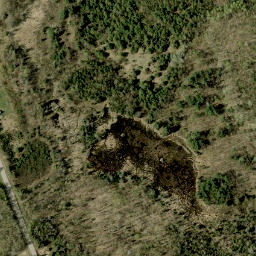 Satellite imagery of Shrine Hill, CA