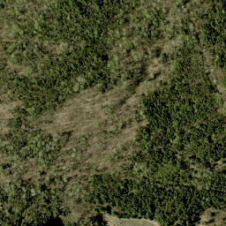 Satellite imagery of Shrine Hill, CA