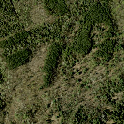 Satellite imagery of Shrine Hill, CA