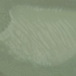 Satellite imagery of Pitcher Point, US