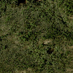 Satellite imagery of Blackcat Hill, CA