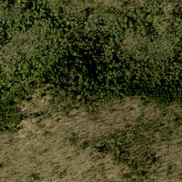 Satellite imagery of Blackcat Hill, CA