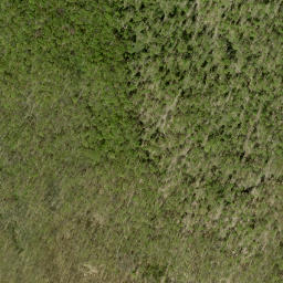 Satellite imagery of McIntomneys Mountain, CA