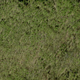 Satellite imagery of McIntomneys Mountain, CA