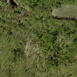 Satellite imagery of McIntomneys Mountain, CA