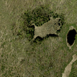 Satellite imagery of McIntomneys Mountain, CA