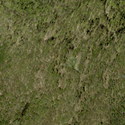Satellite imagery of McIntomneys Mountain, CA