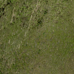 Satellite imagery of McIntomneys Mountain, CA
