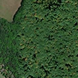 Satellite imagery of Colonial Point, US
