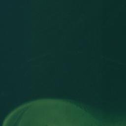 Satellite imagery of Red Pine Point, US