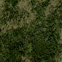 Satellite imagery of Buch's Hill, CA