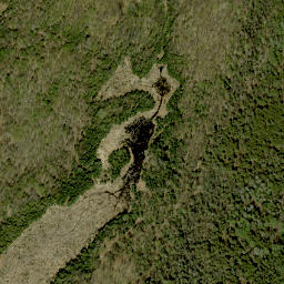 Satellite imagery of McIntomneys Mountain, CA