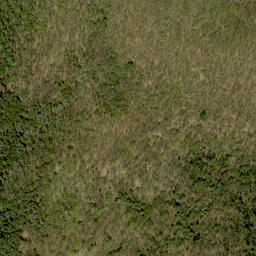 Satellite imagery of McIntomneys Mountain, CA