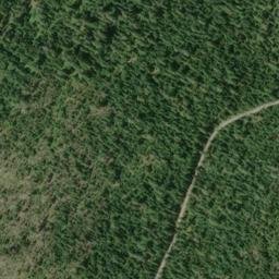 Satellite imagery of Dollar Quarry, US