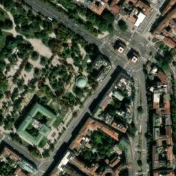 Satellite imagery of Canada Goose, IT
