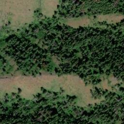 Satellite imagery of Cougar Ridge, US