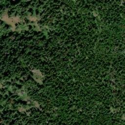 Satellite imagery of Cougar Ridge, US