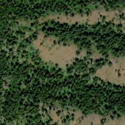 Satellite imagery of Cougar Ridge, US