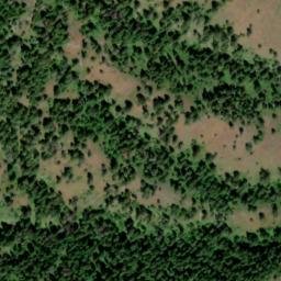 Satellite imagery of Cougar Ridge, US