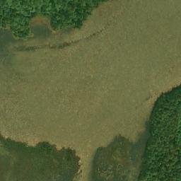Satellite imagery of Birch Point, CA