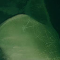 Satellite imagery of Kings Point, US