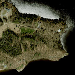 Satellite imagery of Bleskies Point, CA