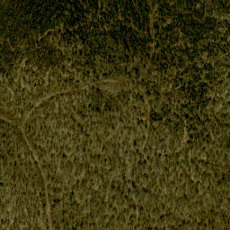 Satellite imagery of Big Point, CA
