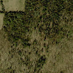 Satellite imagery of Mick Daley Mountain, CA