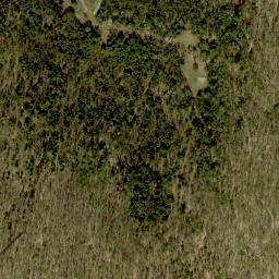 Satellite imagery of Mick Daley Mountain, CA