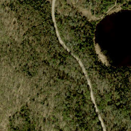 Satellite imagery of Mick Daley Mountain, CA