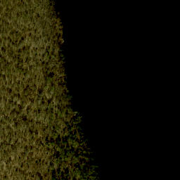 Satellite imagery of Big Point, CA