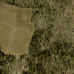 Satellite imagery of Mick Daley Mountain, CA