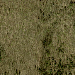 Satellite imagery of Mick Daley Mountain, CA