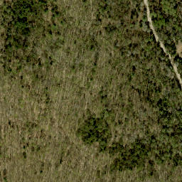 Satellite imagery of Mick Daley Mountain, CA