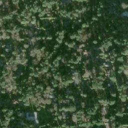 Satellite imagery of Palatine Hill, US