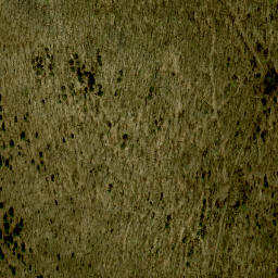 Satellite imagery of Big Point, CA