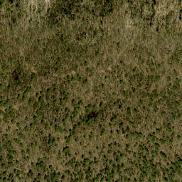 Satellite imagery of Mick Daley Mountain, CA