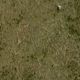 Satellite imagery of Mick Daley Mountain, CA