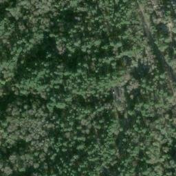 Satellite imagery of Palatine Hill, US