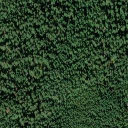 Satellite imagery of Evans Creek Quarry, US