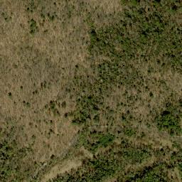 Satellite imagery of Weasel Lookout, CA