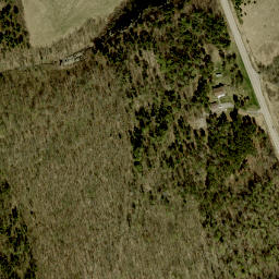 Satellite imagery of Ryans Mountain, CA