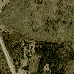 Satellite imagery of Ryans Mountain, CA