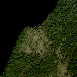 Satellite imagery of Coulas Point, CA