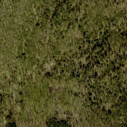 Satellite imagery of O'Malleys Hill, CA