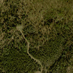 Satellite imagery of O'Malleys Hill, CA
