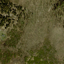 Satellite imagery of Ryans Mountain, CA