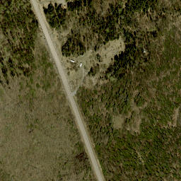 Satellite imagery of Ryans Mountain, CA