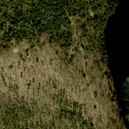 Satellite imagery of Weasel Lookout, CA