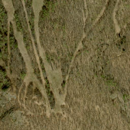 Satellite imagery of Weasel Lookout, CA